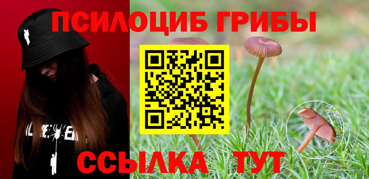 Галлюциногенные грибы Cubensis Ижевск